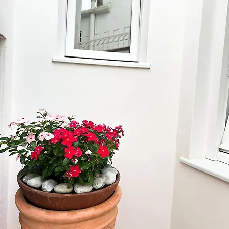 Sain Charming Guest house *